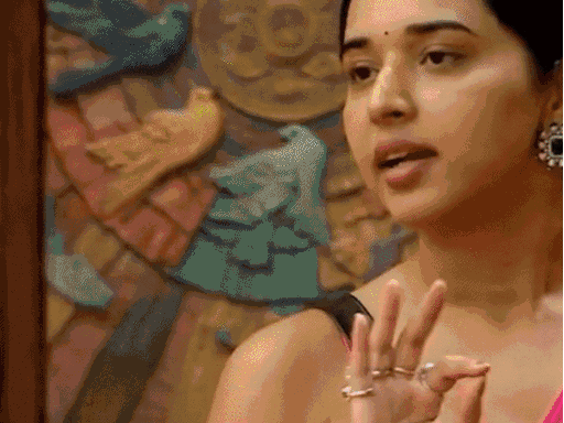 gwalior’s-tanya-mittal-out-from-top-5-of-bigg-boss-19-finale:claims-made-about-luxury-lifestyle;-5-servants-on-each-floor,-7-drivers,-and-150-bodyguards