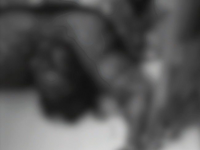 retired-cmho’s-wife-found-dead,-naked-at-home-in-gwalior:neighbours-alert-police-after-no-activity-noticed,-foul-smell-raises-suspicion
