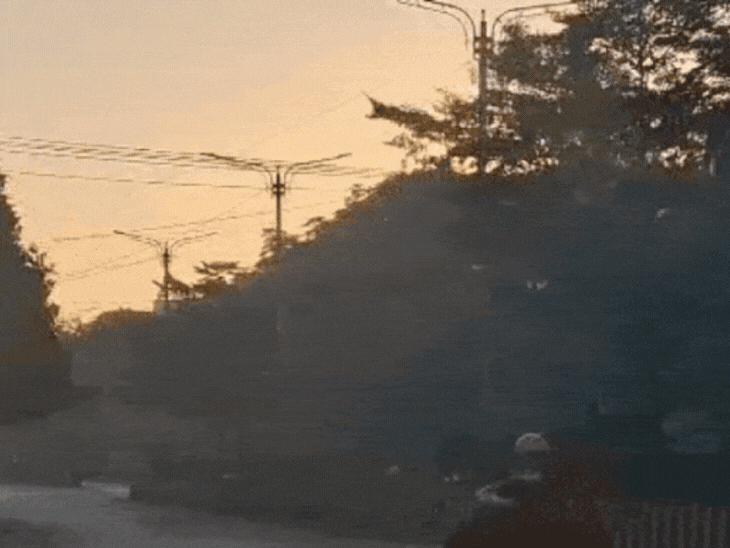3-day-cold-wave-alert-in-mp,-temperatures-drop-under-5°c:bhopal,-jabalpur-see-sharpest-fall;-shahdol’s-kalyanpur-remains-coldest-at-4.2°c