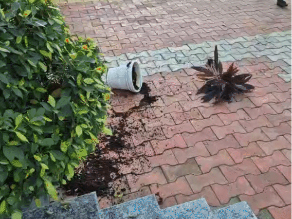 10th-class-student-alleges-teacher-forced-her-to-remove-clothes:when-she-protested,-invigilator-said,-‘we-also-know-how-to-undress’;-parents-storm-school,-vandalise-campus-after