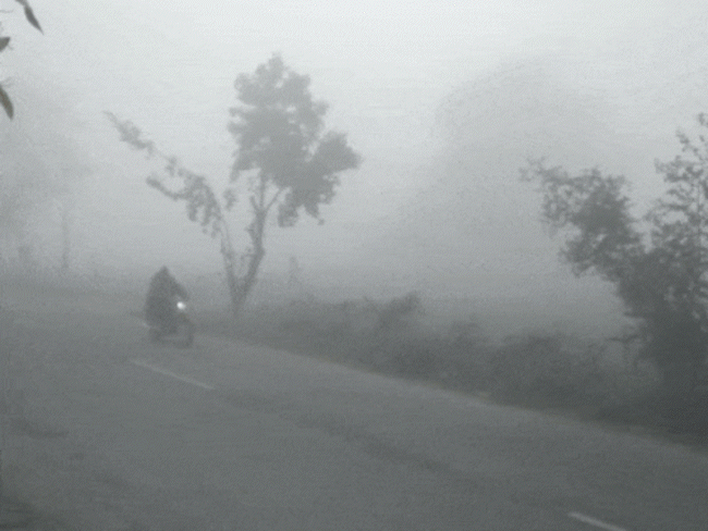 mp-endures-freezing-temperatures-below-5°c:indore-colder-than-pachmarhi,-bhopal-records-6.6°c;-cold-wave-alert-across-5-districts