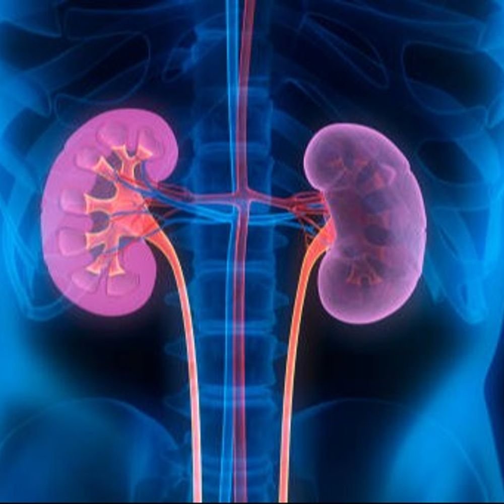 india-faces-massive-silent-health-crisis:study-links-rising-diabetes-cases-to-widespread-kidney-damage;-warning-of-steep-increase-in-deaths
