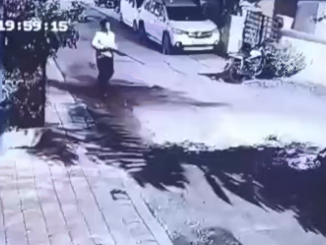 sales-tax-officer-opens-fire-at-stray-dogs-in-indore:woman-alleges-police-refused-to-lodge-complaint;-now-faces-fir-after-accused-claim-abuse