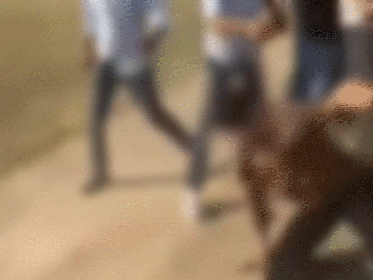 17-year-old-student-beaten-by-group-of-minors-over-cricket-dispute:victim-slapped,-kicked-and-hit-with-belt;-accused-film-assault-with-criminal-themed-music