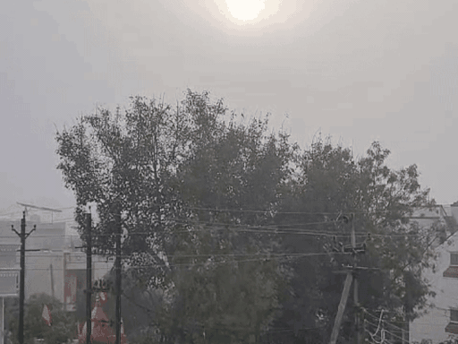 cold-wave-returns-to-mp,-alert-issued:dense-fog-prevails-in-22-districts,-including-bhopal-and-gwalior;-visibility-drops
