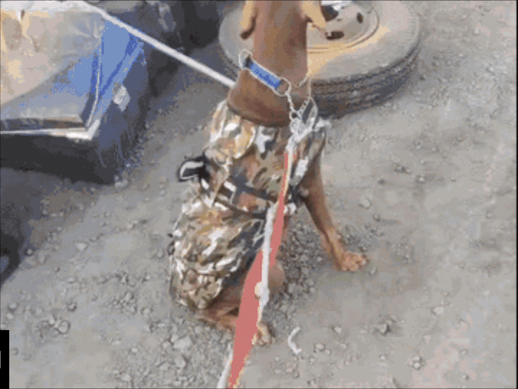 police-dog-squad-‘tasha’-in-grief-after-handler’s-death:jawans-say-followed-her-blindly-during-anti-naxal-operations;-now-she-remains-withdrawn-and-silent-after-losing-master