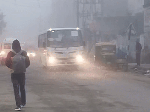 fog-disrupts-train-services-in-madhya-pradesh:over-15-trains-delayed-daily-as-fog-covers-12-districts-including-gwalior