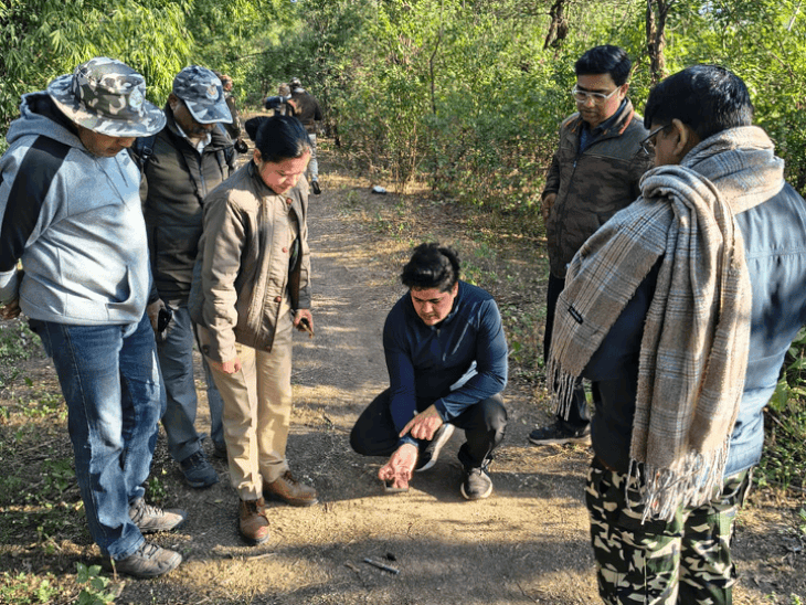 tiger-census-shows-big-cat’s-return-to-indore-forest:no-signs-in-2018-to-sustained-presence-by-2026;-evolves-from-leopard-only-to-multi-carnivore-landscape
