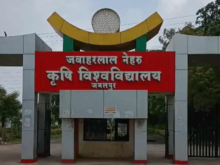 woman-raped-at-jabalpur-agricultural-university:clerk-and-peon-arrested,-sent-to-jail;-victim-lured-on-pretext-of-job
