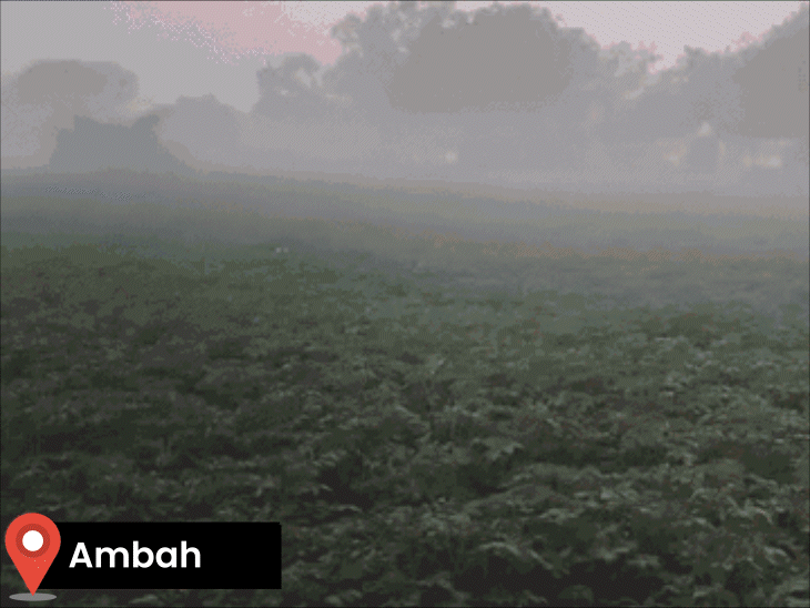 rajgarh-records-coldest-temperature-at-3.8°c:dense-fog-affects-16-districts,-delays-multiple-trains;-bhopal-experiences-colder-conditions-than-pachmarhi-amid-severe-cold-wave
