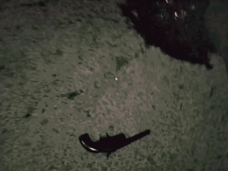 2-men-found-dead-on-road-in-chhatarpur:one-shot,-other’s-head-crushed;-family-suspects-foul-play-after-country-made-pistol-recovered-from-scene