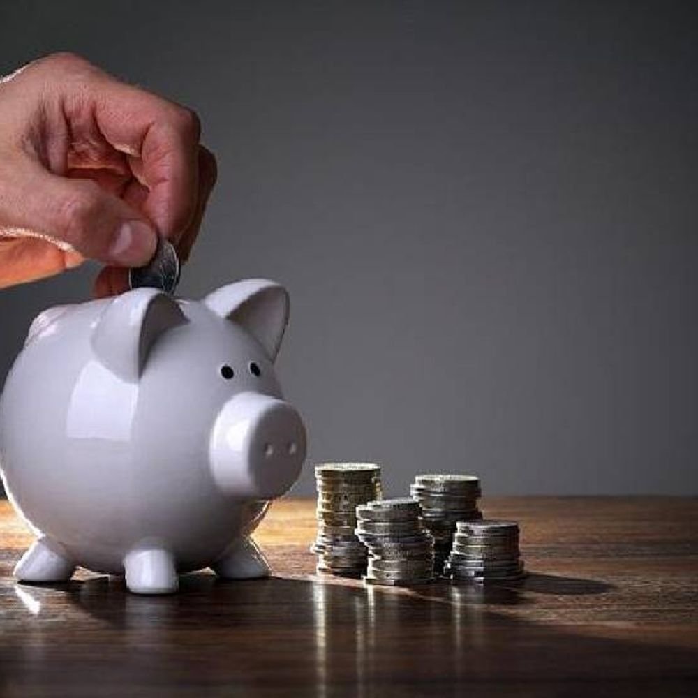 interest-rates-on-small-savings-schemes-may-be-cut:rates-unchanged-since-april-2024;-government-to-decide-by-december-31