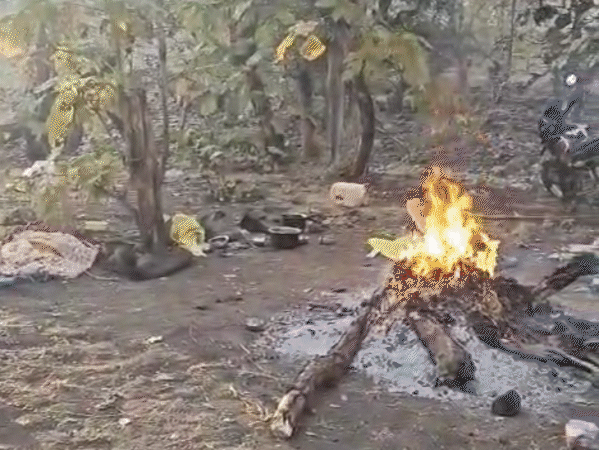 dacoits-survived-by-hunting-and-eating-animals-in-rajgarh:wild-boars-found-hanging-in-jungle;-225-cops-conduct-overnight-operation