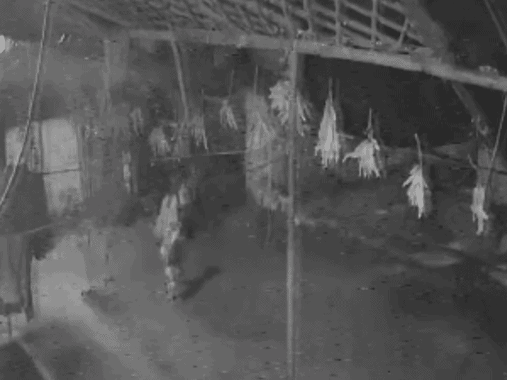women’s-vigilance-team-catches-thief-in-daring-doorstep:pulls-him-from-doorway,-ties-with-rope-as-he-returns-for-second-consecutive-theft-attempt