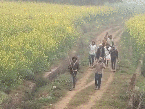 5-injured-after-gang-opens-fire-at-dalit-family:dispute-over-cow-grazing-led-to-attack-in-morena-village;-elderly-man-seen-pleading-with-folded-hands