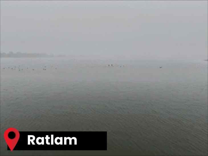 madhya-pradesh-sees-heavy-fog,-visibility-drops-to-20-metres:cold-wave-to-last-15-days-in-january;-rain-likely-in-indore,-bhopal-and-gwalior