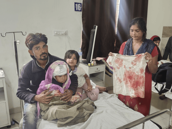 8-year-old-sister-fights-with-stray-dog-to-save-brother:girl-battles-with-animal-for-3-minutes-in-rajgarh,-ties-t-shirt-on-brother’s-head-to-stop-bleeding