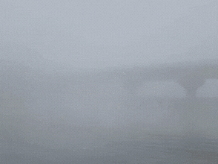intense-cold-fog-disrupt-life-across-mp:schools-closed-in-24-districts,-trains-delayed-by-hours;-rajgarh-remains-coldest-at-2°c