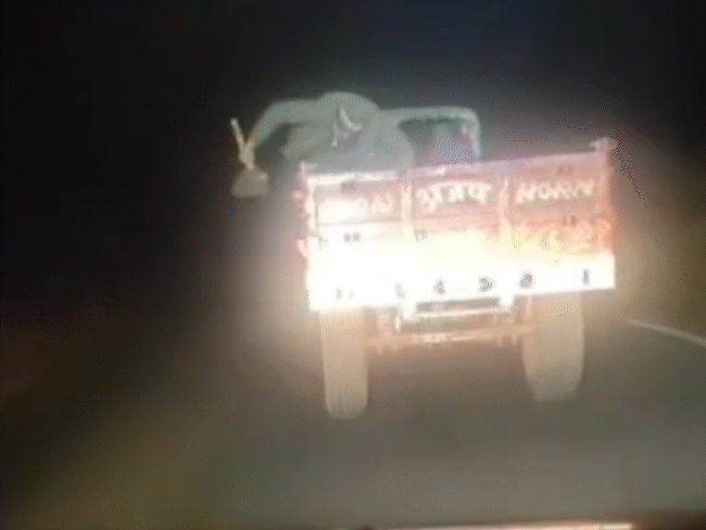 amid-crackdown,-mafia-attempts-to-run-over-tehsildar-in-shahdol:smugglers-threatens-to-kill,-spreads-sand-on-road-and-escape;-both-accused-absconding