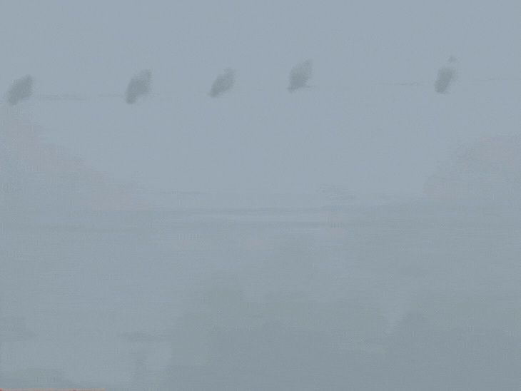dense-fog-covers-mp’s-northern-region:cold-wave-alert-in-7-districts-including-rewa-datia;-trains-delayed