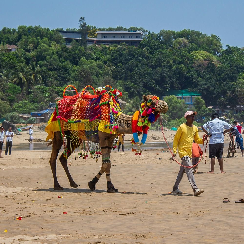 goa-tourism-breaks-all-record:more-than-1-crore-tourists-land-in-the-pearl-of-the-ocean-in-2025,-surpassing-all-previous-records