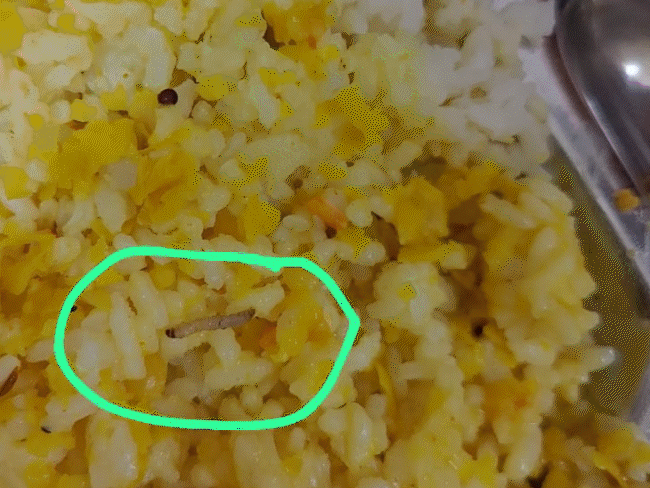 worm-infested-food-sparks-student-protest-in-khandwa-hostel:tribal-girls-fall-ill-after-meals,-allege-harassment-by-the-warden;-march-to-the-collectorate