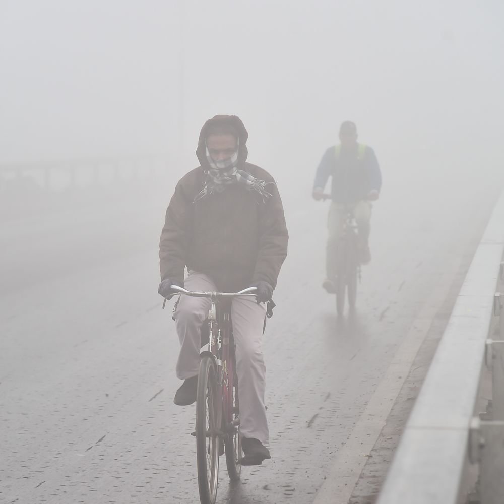mp-to-see-new-weather-system-after-makar-sankranti:gwalior–chambal-shivers-under-cold-winds;-severe-cold-and-fog-persist