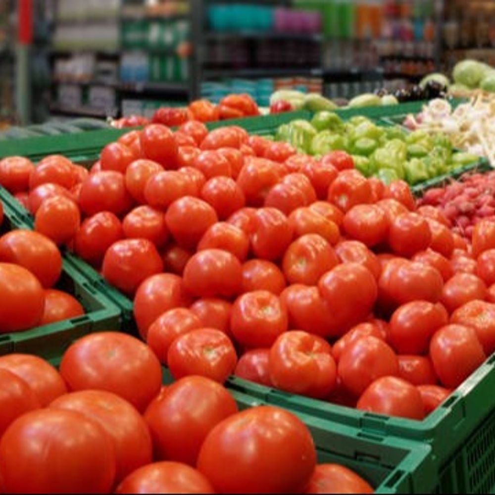 tomato-prices-burn-kitchen-budgets-in-mp:rates-touch-5-year-january-high-at-rs-50-per-kg;-consumers-warned-of-further-rise-in-february