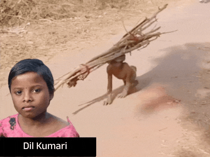 poverty-forces-differently-abled-child-to-crawl-for-firewood-in-singrauli:abandoned-by-parents,-11-year-old-gathers-wood-for-grandparents-to-help-them-survive-cold