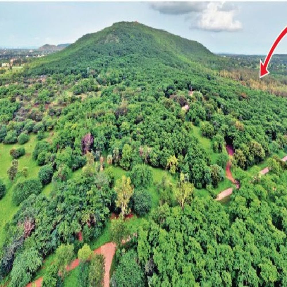 indore-to-develop-4-urban-forests-by-2027:forest-department-plans-green-zones-near-ramna,-ralamandal-and-it-hub-for-cleaner-air