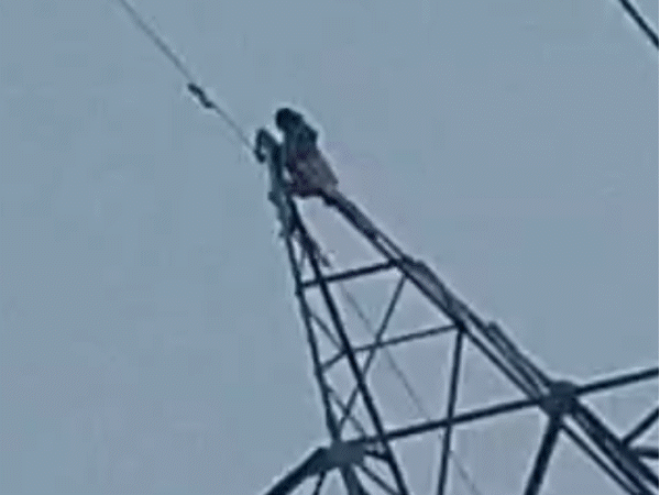 woman-climbs-power-tower-after-husband-refuses-₹250:36,000-kv-line-shut-for-three-hours,-disrupting-delhi-bound-supply