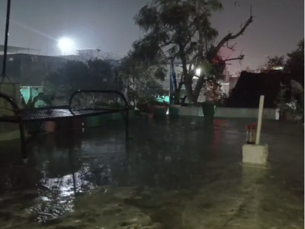 rain-thunderstorm-alert-issued-across-half-of-madhya-pradesh:western-disturbance-to-trigger-fog-and-strong-winds-across-state
