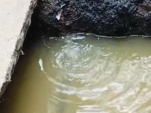 contaminated-water-crisis-in-mhow-leaves-residents-alarmed:30-people-sick,-including-24-children;-old-leaking-pipeline-spreads-disease-across-chander-marg-and-patti-bazaar-areas