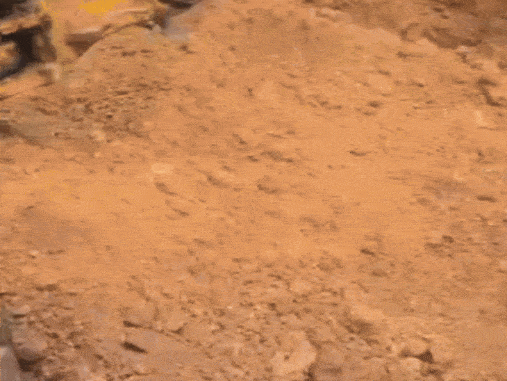 3-killed-in-singrauli-mine-collapse:2-girls-among-the-dead,-two-women-injured-as-accident-occurs-during-soil-digging-operations