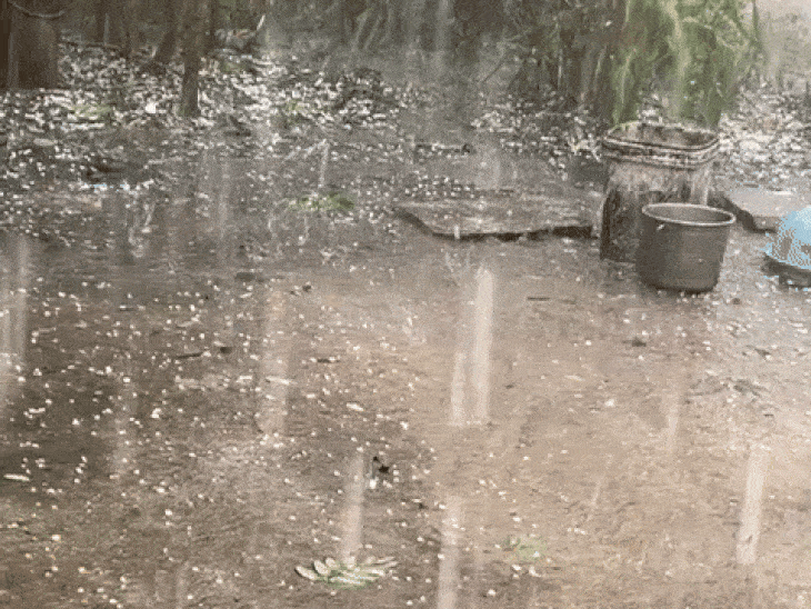 mp-witnesses-sudden-winter-rain,-hail-and-storms:schools-closed-in-gwalior,-25-districts-face-heavy-rain,-damages-crops