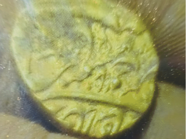 treasure-from-rajgarh-palace-spills-onto-village-road:bundela-kings’-palace-once-had-mint,-coins-surface-decades-later,-linked-to-bajirao-mastani-wedding-legends-and-local-history