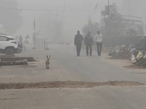 storms-and-rain-expected-today-in-gwalior-and-20-districts;:fog-to-increase-from-tomorrow-onwards;-more-rain-likely