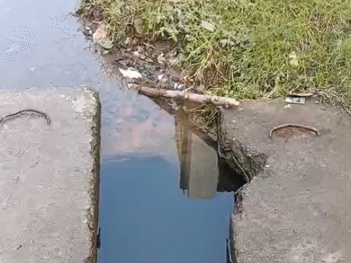 dirty-water-and-sewage-lines-mixed-in-bhopal:water-supply-line-found-in-sewage-in-ayodhya-extension;-chandwadi-and-udiya-basti-suffer