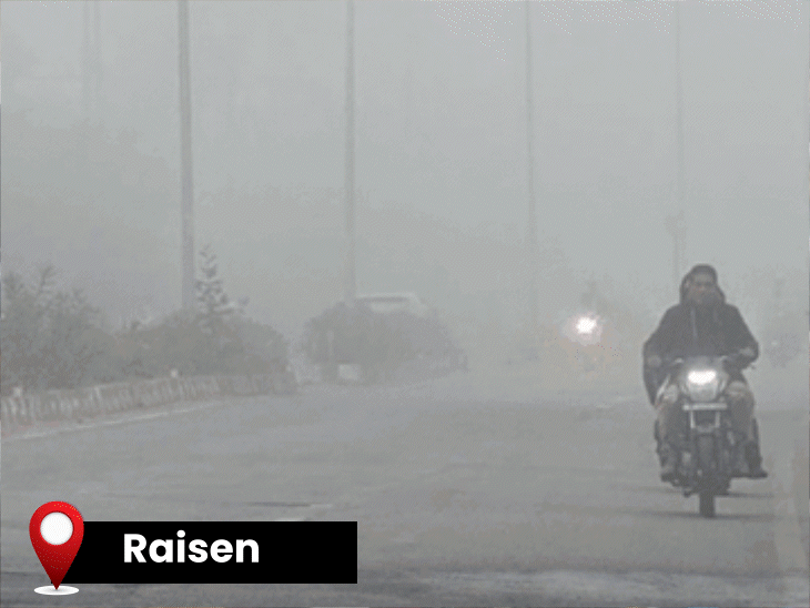 fog-blankets-gwalior-chambal-and-20-districts-across-mp:new-weather-system-activates-tomorrow;-winter-showers-to-return