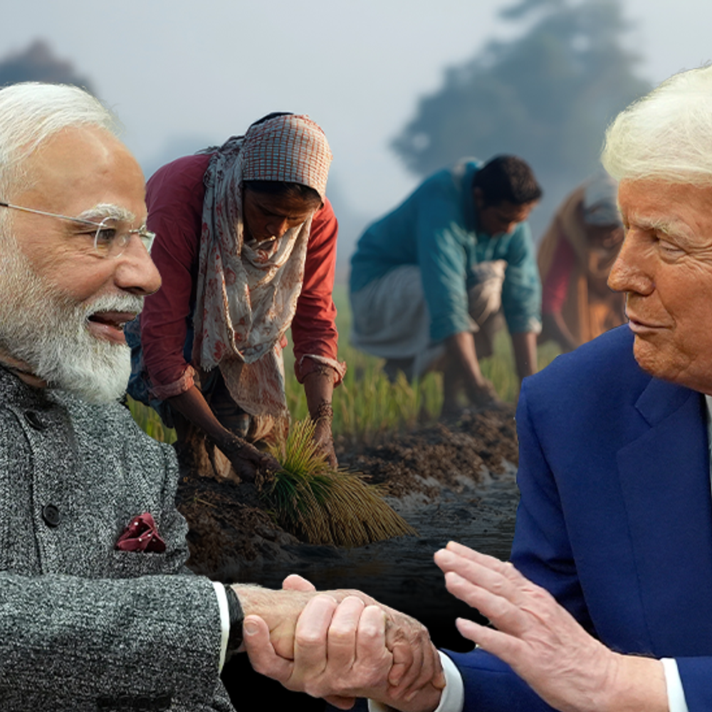 is-india-opening-its-agriculture-sector-to-us-firms?:why-is-opposition-raising-red-flag-over-trade-deal-with-washington?