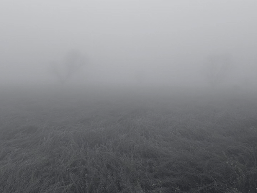 madhya-pradesh-to-experience-four-day-cold-wave:gwalior-chambal-faces-severe-chill;-temperatures-to-drop-further-in-bhopal,-ujjain,-and-surrounding-northern-regions