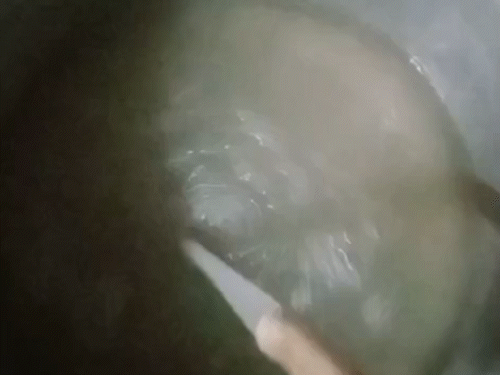 protesters-gather-in-bhopal-over-beef-and-water-issues:isbt-office-surrounded,-effigy-burning-planned