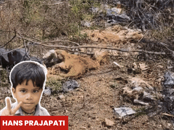 child-dies-after-dogbite-despite-vaccination-in-datia:virus-spreads-to-brain;-neighbor-rescues-him,-family-on-alert