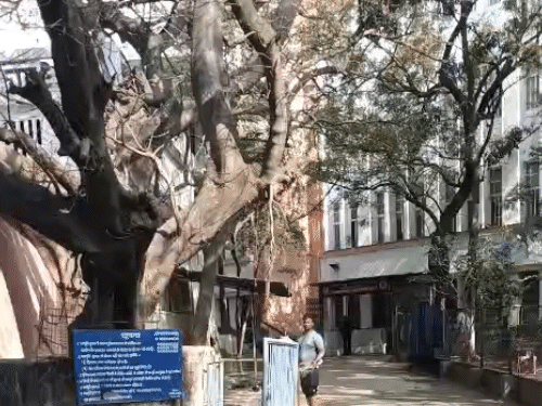 mbbs-student’s-body-found-in-bhopal:acid-bottle-found-near-dead-body-in-pg-room;-took-admission-in-gandhi-medical-college-4-months-ago