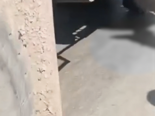 truck-runs-over-former-sarpanch,-drags-him-for-50-metres:body-trapped-in-rear-tyre-on-satna-chitrakoot-state-highway;-locals-chase-and-stop-vehicle