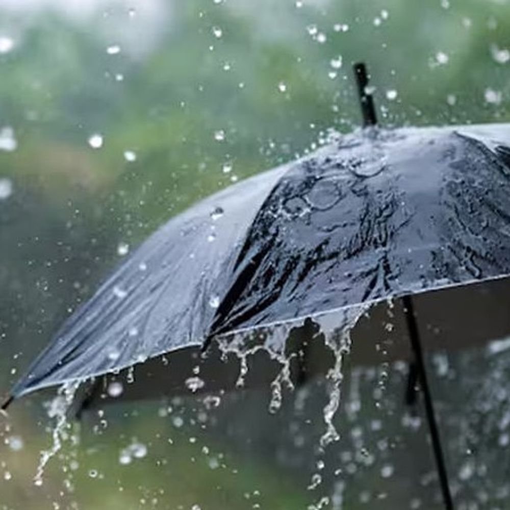 weather-alert-in-22-districts-of-mp:rain,-thunderstorms-expected;-indore,-gwalior,-ujjain-also-likely-to-be-affected