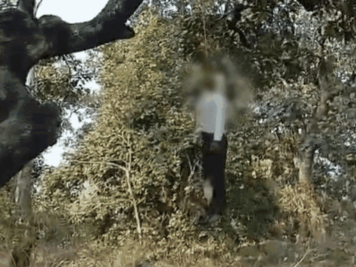 ex-worker-opens-fire-at-raisen-nursery,-2-injured:deputy-ranger-shot,-woman-hit-by-bullet;-accused-later-shoots-himself