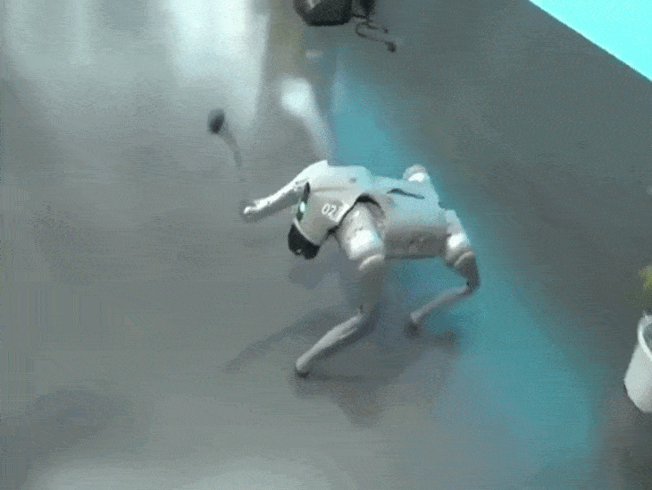 after-galgotias-university,-wipro-also-showcases-‘dog-robot’:grok-claims-other-big-indian-it-companies-also-displayed-similar-robots-during-india-ai-summit