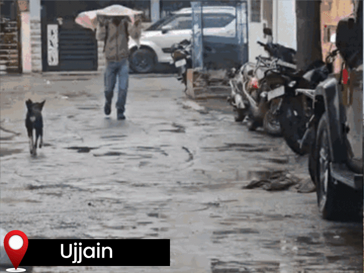 storm-rain-alert-for-next-4-days-in-mp:5-districts-to-face-heavy-showers-from-23rd-feb,-including-rewa