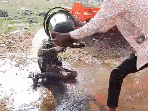 tribal-woman-sets-herself-on-fire-in-sehore:villagers-save-her,-magistrate-records-statement,-police-probe-reasons